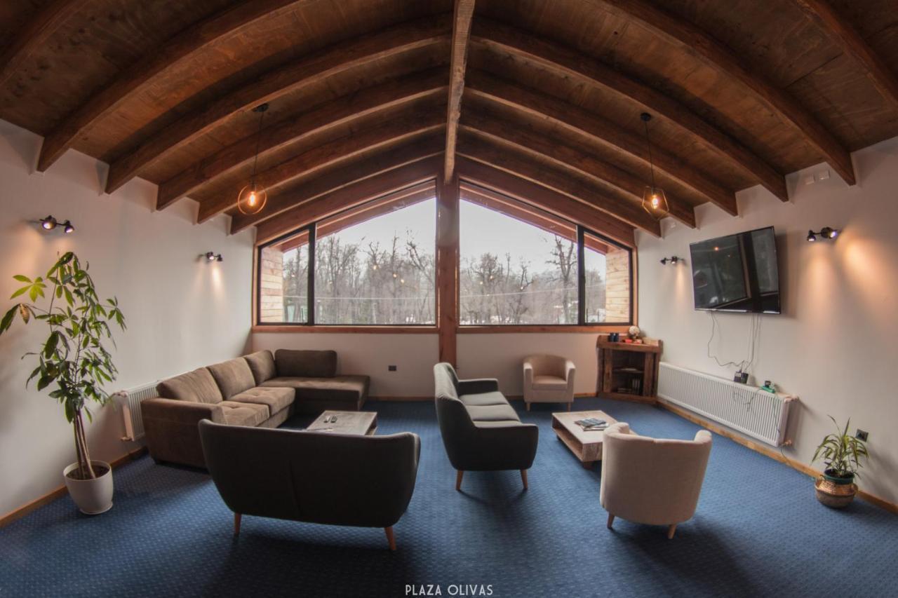Las Bravas Lodge Las Trancas Eksteriør bilde
